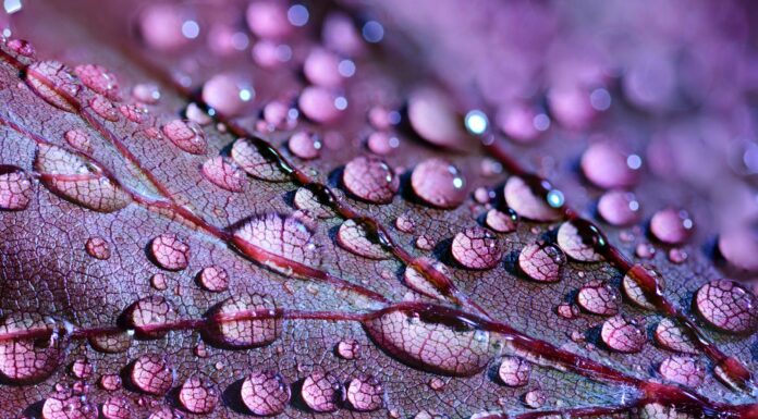 Cinco consejos claves para hacer senderismo bajo la lluvia Senderismo bajo la lluvia
