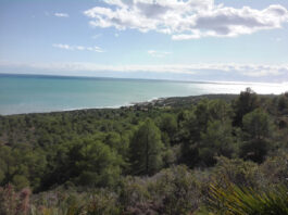 Sierra de Irta