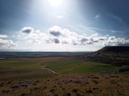 Panorámica del Campo Charro