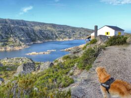 Coronavirus en España