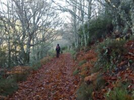 Camino de la Sierra de la Culebra