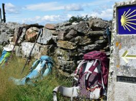 Camino de Santiago