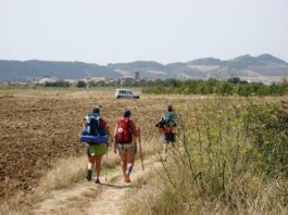Apps del Camino de Santiago