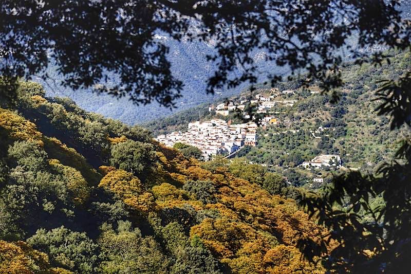 Hiking Málaga