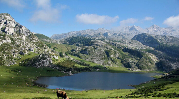 Turismo ecológico en 2021: los 12 mejores lugares en España Turismo ecológico