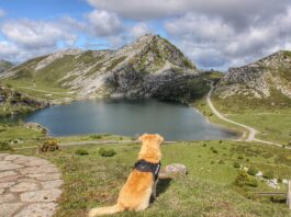 Senderismo Picos de Europa