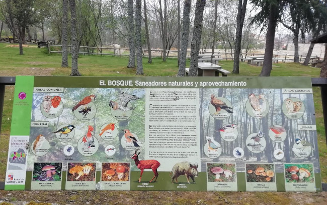 Panel informativo del bosque de El Maíllo
