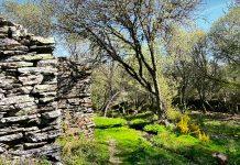 Adolescentes Senderistas en la ruta de los Molinos